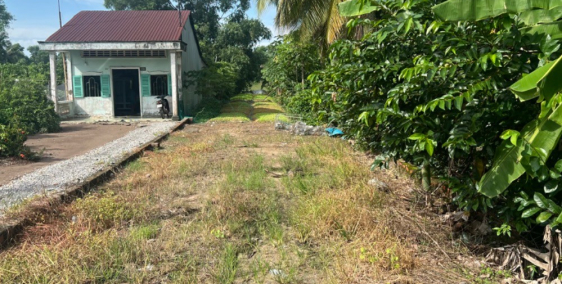 Bán Mặt Tiền QL61 - Châu Thành