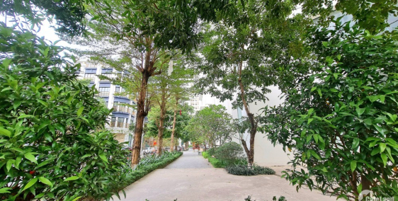 Tại Sao “dự án Tecco Garden” là từ khóa tìm kiếm hàng đầu thị trường chung cư