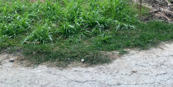 ĐẤT MẶT TIỀN THỔ CƯ ĐƯỜNG XE TẢI GẦN PHỞ LỮ HẢI