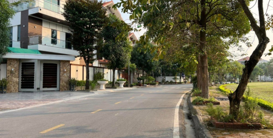 Bán đất khu biệt thự cao cấp Đỉnh Long, ph Tân Bình, TP HD, 195.75m2, mt 11.5m,