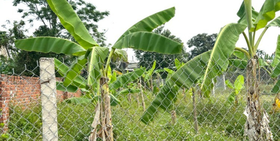 Bán đất gần Đà Nẵng 220m2 ngang 9m chỉ 500 Triệu sổ hồng