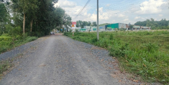 Chính chủ bán lỗ lô đất Nguyễn Thị Rành, Nhuận Đức, Củ Chi 1069m2 quy hoạch KDC