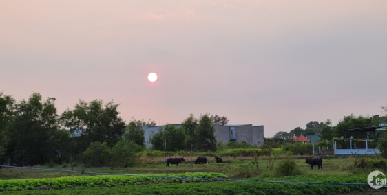Nhà ở Giáp ranh Bình Chánh - Long An