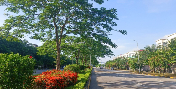 Non 140 m2, căn góc mặt đại lộ 61m. Giá chỉ nhỉnh 13 tỉ.