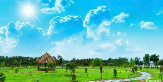 Bán Đất View Hồ Diện Tích 1000m2 Sổ Sẵn Gía Chỉ Hơn 299tr