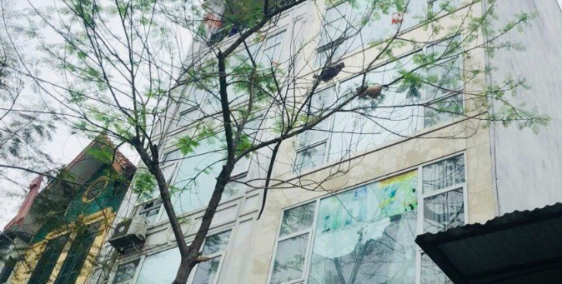 MẶT PHỐ VIP NHẤT NHÌ CẦU GIẤY ,TOÀ NHÀ 7 TẦNG 110M2 KINH DOANH TẤP NẬP NGÀY ĐÊM