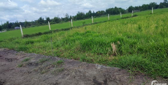 980tr chốt lô đất vườn ngay QL22 chợ Phước Thạnh, Củ Chi, giá ngộp cần bán gấp