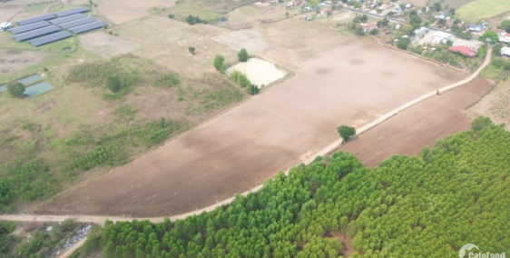 bán gấp chính chủ sổ riêng 500m2