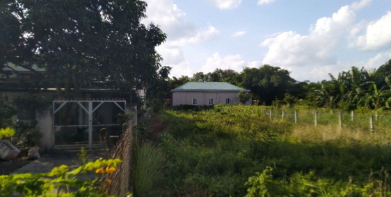 Đất mặt tiền quốc lộ 55 giá rẻ tại láng dài, đất đỏ, t.brvt cần bán gấp