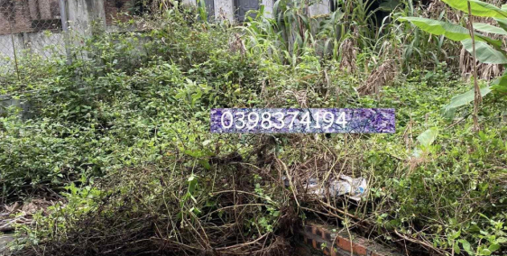 64m2 Vân Nội, Đông Anh rộng 4x16m giá siêu hấp dẫn