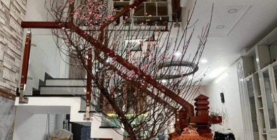 Nhà mới 5 tầng ô tô vào trong, cạnh Công Viên Nguyễn Sỹ Sách, 6.6 tỷ