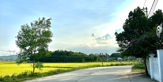 Đất Hòa Vang Đà Nẵng 240m2 ngay Quốc lộ 14B ngang 11 từ 720 TR/lô