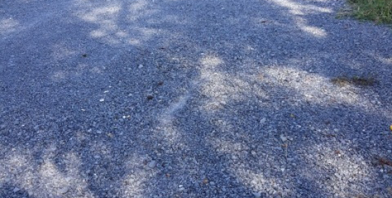 Chủ Cần Bán Gấp Lô Đất Vườn 575m2 Đường Nhựa 10m. Giá Chỉ 700Triệu