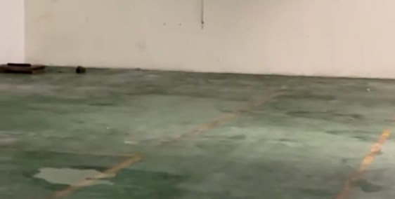 KHO, XƯỞNG CHO THUÊ TẠI NAM HỒNG. ĐÔNG ANH. HÀ NỘI