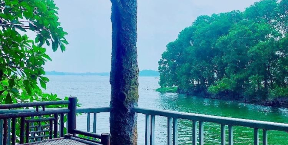 Cho thuê biệt thự tại mặt hồ Đồng Mô, gần sân golf và các khu du lịch, camping…