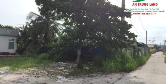 6662,2m2 CLN Quy hoạch thổ cư 100%. Cách Ql1A 300m/ Zalo: 093786/6186.