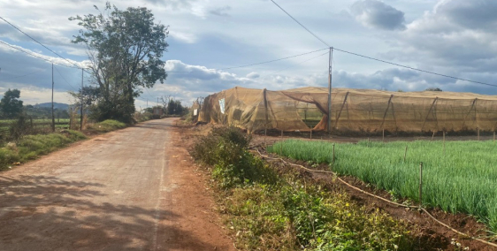   ĐẤT NGỘP GIÁ RẺ HƠN THỊ TRƯỜNG  