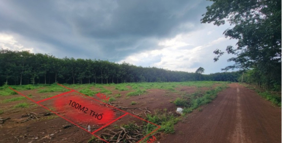 Gia đình đang cần xoay sở cần thanh lý lô đất