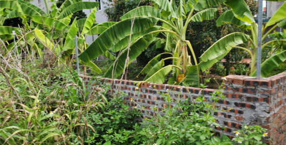 Đất Vân trì, Đông Anh đường xe máy quay đầu morrning lùi nông giá tốt