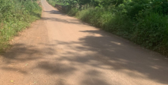 1 sào 6 xã lộ 25 cách 769 khoảng 300m tiện ích xung quanh đầy đủ