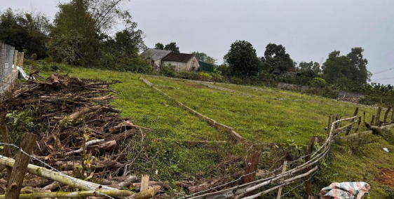 Thửa Đất Số 39. Diện Tích 704,9m2.