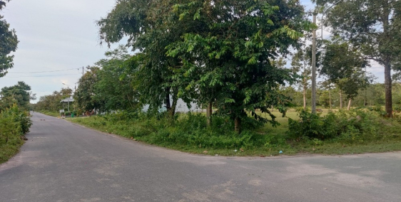 Bán tiếc đứt ruột nhưng vì không thể xoay sở nổi cần bán gấp 210m2 sát chợ