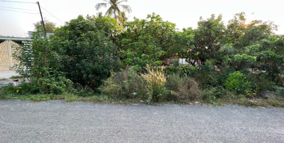 Cần Bán Nhanh Lô Đất Cách Chợ Truông Mít Chỉ 300m