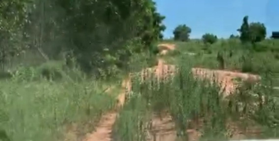 Bán đất vườn hoà thắng lô 2 đường liên huyện, sổ có đường 75k/m2 Lh 0938677909