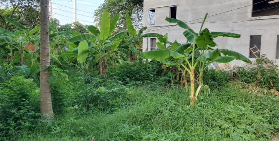 Đông Anh, Vân nội, 46m2 Vân Nội rộng 4m đường to ô tô