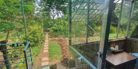 Homestay trang trại ven sông Hồng, gần gũi thiên nhiên thích hợp nghỉ dưỡng