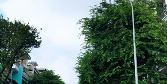 Đoạn đẹp nhất Gia Phú Quận 6, 4x20, 3 tầng chỉ 16.5 tỷ