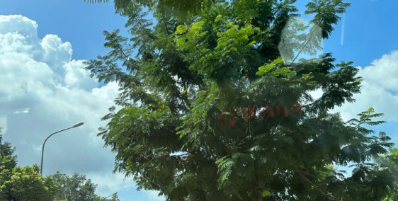 Đất biệt thự  Hòa vang cách sân bay Đà Nẵng 15 phút chỉ 1ty090 sổ sẵn