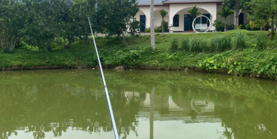 Bán Đất Tặng Nhà Vườn Tại Ngọc Thanh, Phúc Yên, Vĩnh Phúc