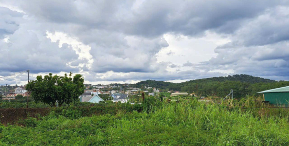 Bán lô đất view rừng thông tại Xuân Thọ Đà Lạt 970m2