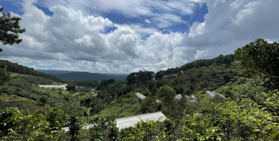 Cho thuê 2 hecta đất tại Mimosa Phường 10 Đà Lạt