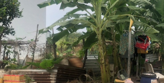 Nc /-rose Bán lô đất kdc hiện hữu HXH dg Võ Văn Hát, P. Long Trường, Q9