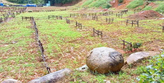 Bán đất giá Rẻ, giá Hời ở khu dân cư nghỉ dưỡng thơ mộng Cactus Garden