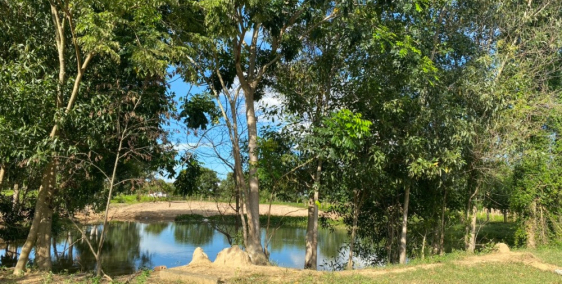 6285m2 đất CLN hồng liêm đường ô tô, có hồ nước giá 190k/m2 ck cao Lh 0385230667