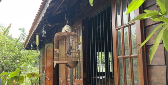 Bán nhà Tỉnh Lộ 7 An Nhơn Tây Củ Chi, 2 nhà gỗ, 1257m2, giá chỉ 1x tỷ