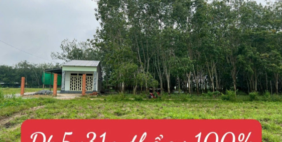 Cần Bán Nhanh Đất-Ấp Rộc A-Thạnh Đức-Gò Dầu