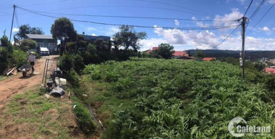 Bán đất mặt tiền QL 20 tại Xuân Thọ cách Đà Lạt 12km