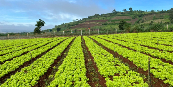  Một lô đất siêu đẹp có view thoáng mát gần sân Golf