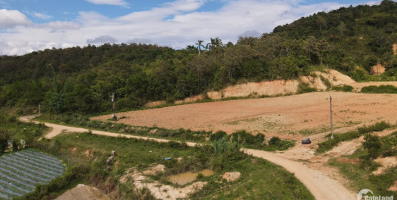   LƯNG TỰA NÚI, MẶT HƯỚNG THỦY  