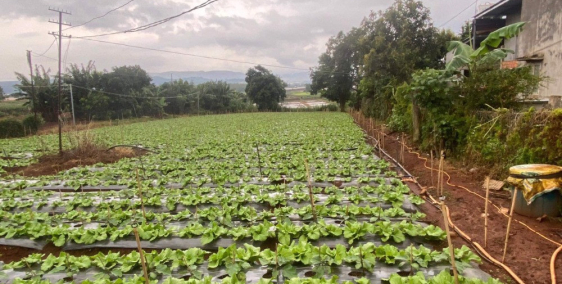  Một lô đất giá thiện chí thương lượng chính chủ, anh chị em không nên bỏ qua