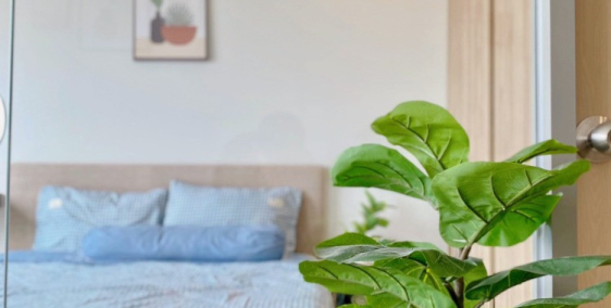 Chuyên cho thuê homestay căn hộ sát Bãi Sau Vũng Tàu