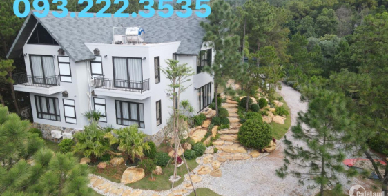 Bán 3600m2 sẵn villa kinh doanh tại Sóc Sơn, Hà Nội