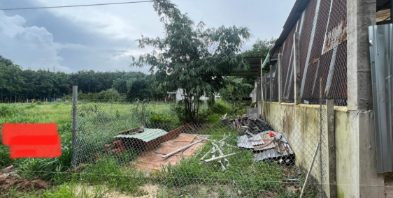 Đất 115m2 gần chợ Hội Nghĩa cách nhà máy Lego 1km 820tr bao