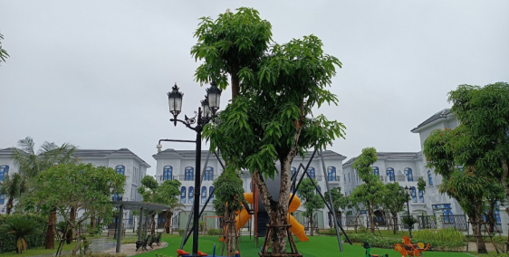 Cần bán biệt thự song lập 200m2 khu hướng dương giá chỉ 9.x tỷ