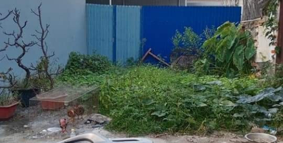 Chính chủ bán đất ngõ 435đằng hải