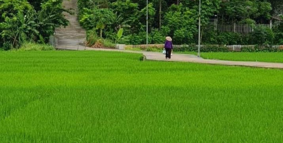 Bán mảnh đất vườn ở Phú Xuân, tp.Thái Bình